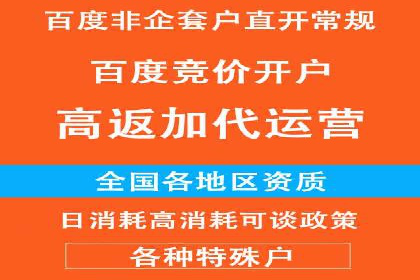 竞价推广实战攻略：成功案例分享
